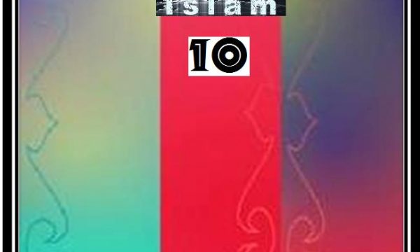il decimo numero di “Mondo Islam” (2012)